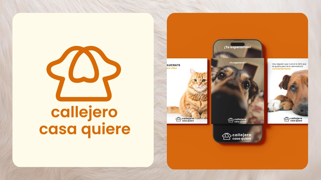 Portafolio de marketing digital y Publicidad